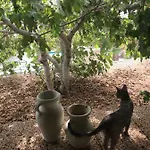 El Cortijo Σαν Μιγκέλ ντε Αμπόνα