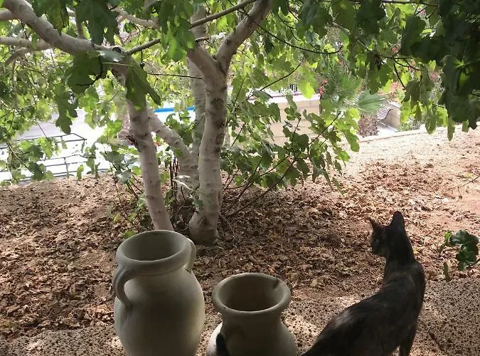 El Cortijo San Miguel de Abona